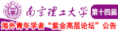 插逼插逼com南京理工大学第十四届海外青年学者紫金论坛诚邀海内外英才！